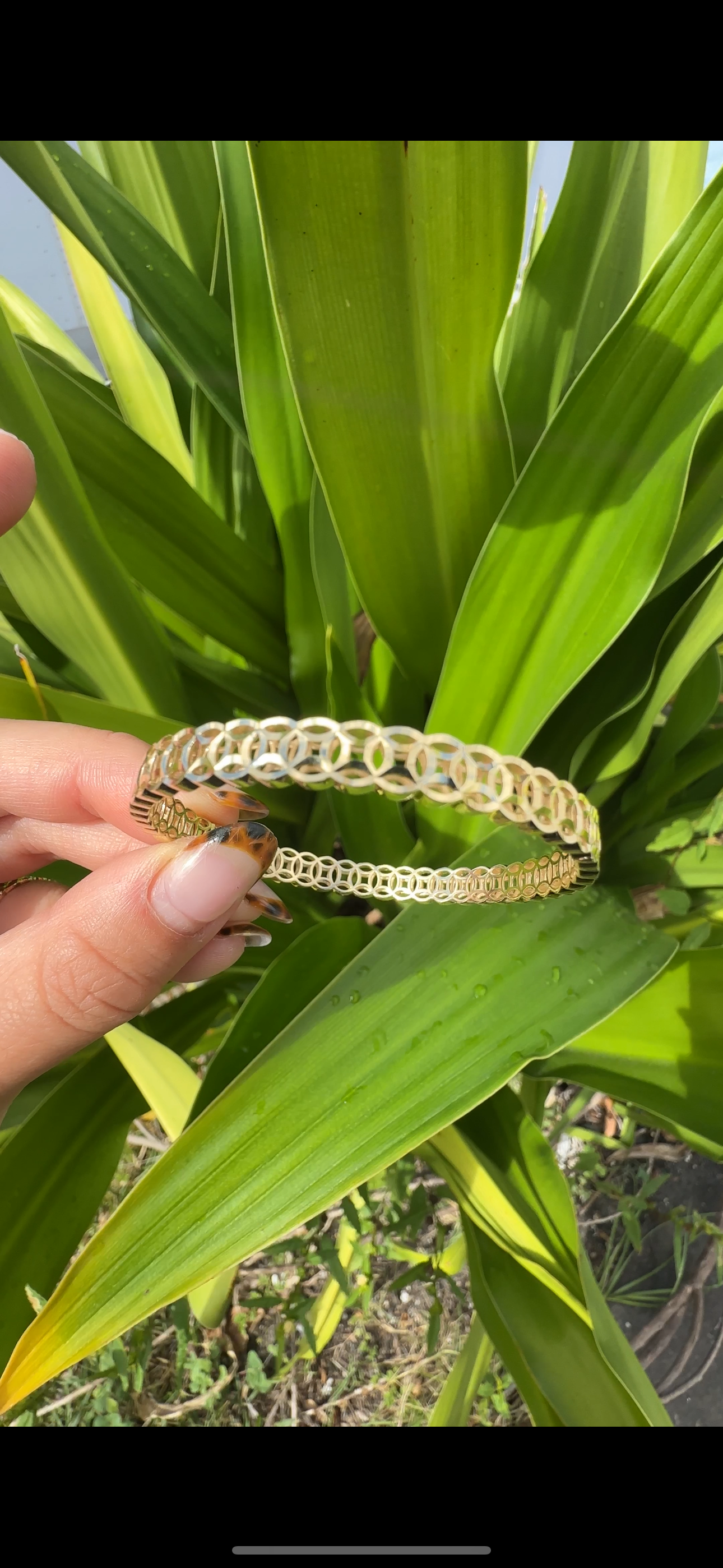 18K Yellow Gold DC Money Coin Bangle